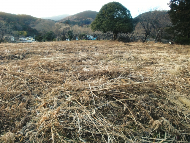 市街化調整区域の農地売却に必須の基礎知識｜法規の壁と「農地区分」の仕組みをプロが解説