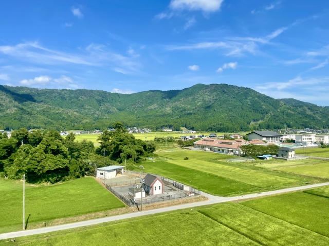 【青地と白地の手続き格差】農業振興地域（農振）の仕組みと「我が家の農地」の命運を分ける見分け方