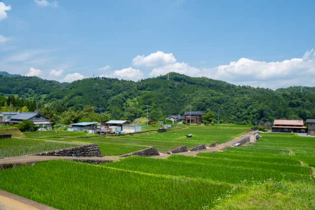 市街化調整区域の農地区分の「格付け」とは？転用できる確率と調べ方をプロが解説