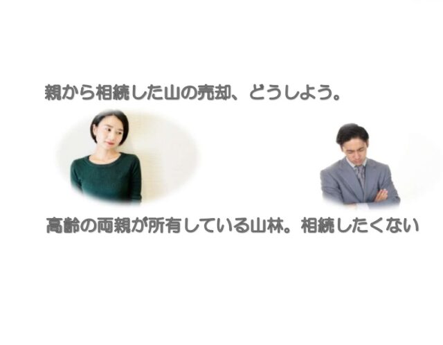 相続した山林を売却する時の知識と方法を教えます