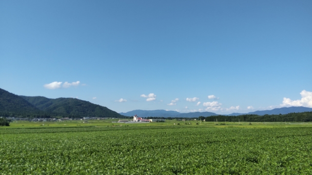 青地と白地。市街化調整区域の農地を売却したい場合に知っておきたい事をお話します。